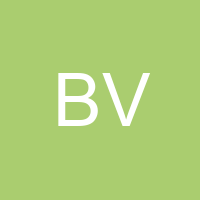 BAGY VICHEZ