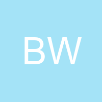 Brain W