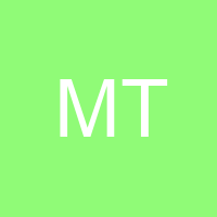 Mr T