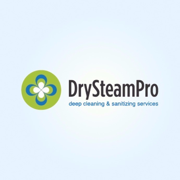 Dry Steam Pro